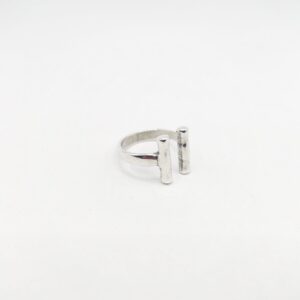Anillo rígido palos